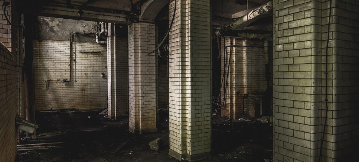 Ludzki szkielet znaleziony w piwnicy. Śledczy zakładają szokujący scenariusz