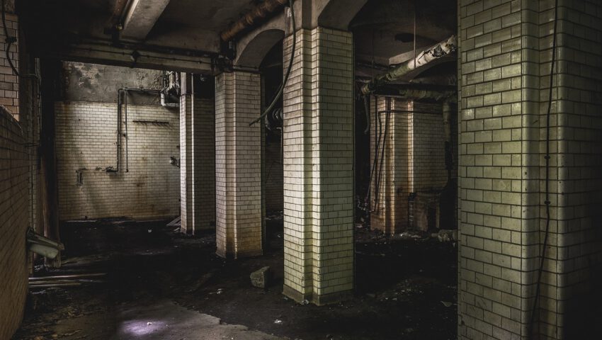 Ludzki szkielet znaleziony w piwnicy. Śledczy zakładają szokujący scenariusz