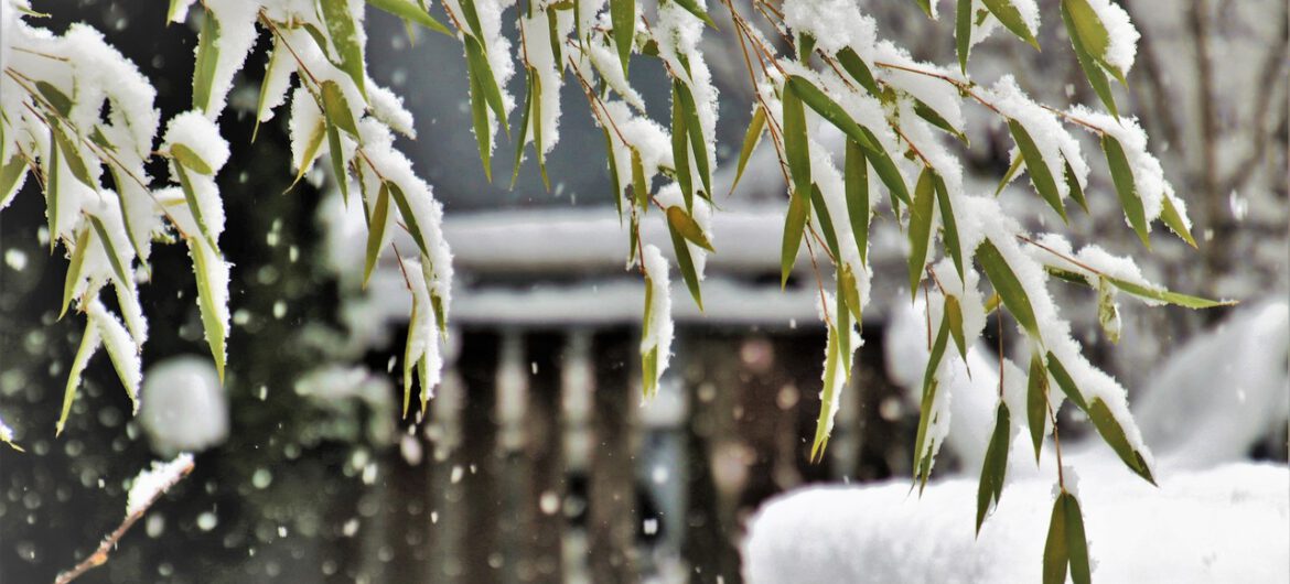 Kibice zamarzli na śmierć po meczu. Śledztwo wykazało, że brali narkotyki