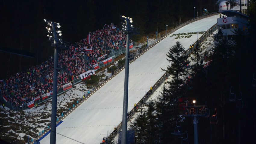 Dziennikarze z Zakopanego bronią misia na Krupówkach. Ostrzegają przed fałszywkami!