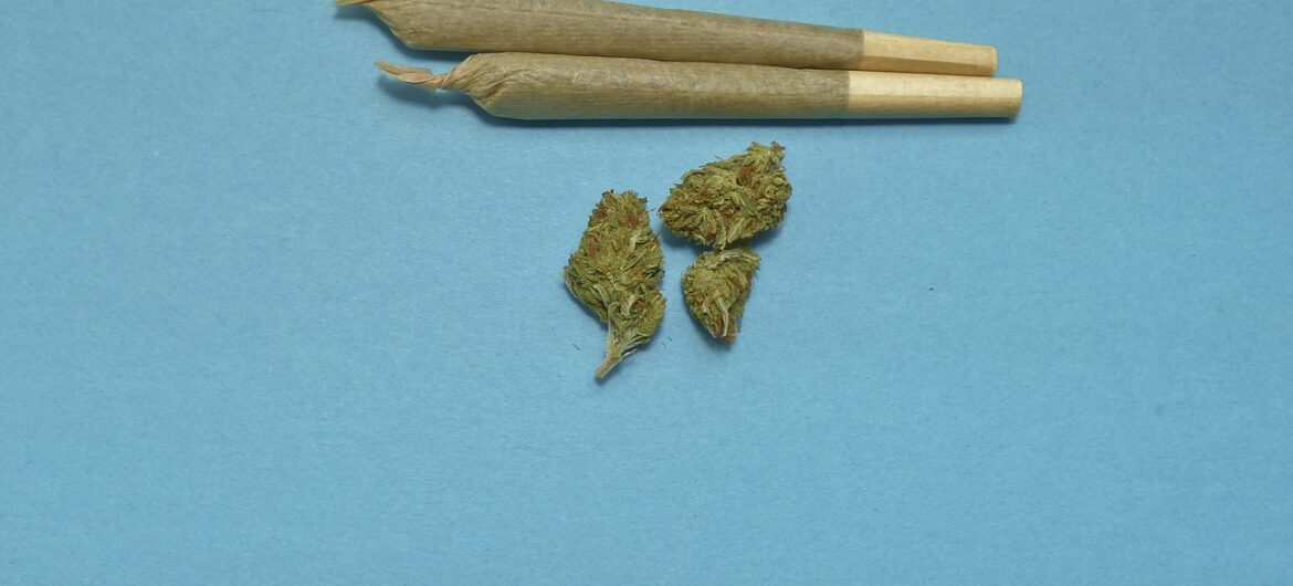 Niemcy pokłócili się o marihuanę. Czy w Polsce jest szansa na jej legalizację?