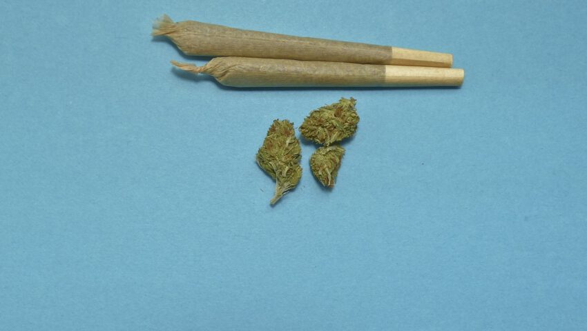 Niemcy pokłócili się o marihuanę. Czy w Polsce jest szansa na jej legalizację?
