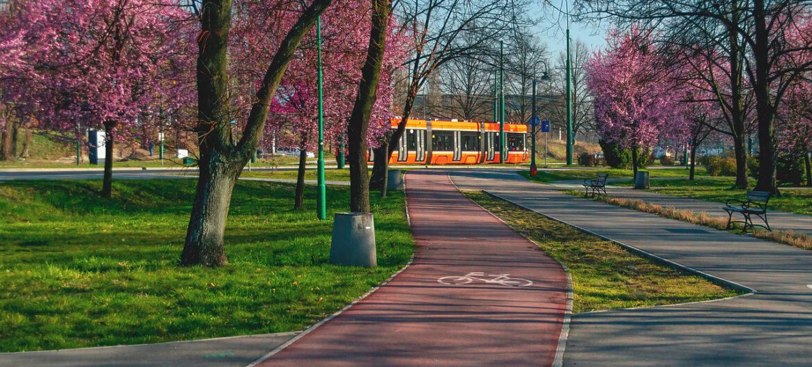 Skandal w sosnowieckiej parafii. Ksiądz, w którego mieszkaniu zmarł mężczyzna, był pod wpływem mefedronu