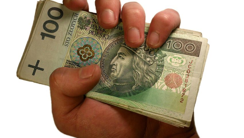 Tysiąc złotych miesięcznie dla singli? Nowy program rządowy ruszy w drugiej połowie roku