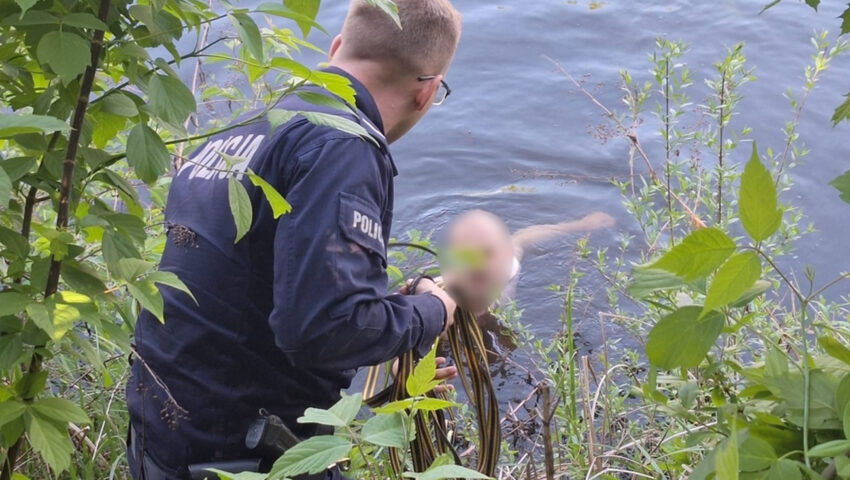 Biegał bez ubrań po ulicach polskiego kurortu. Gdy przybyła policja zdecydował się na skok