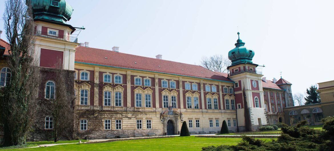 Ten niezwykły kwiat śmierdzi gnijącym mięsem. Właśnie zakwitł w ogrodzie polskiego zamku