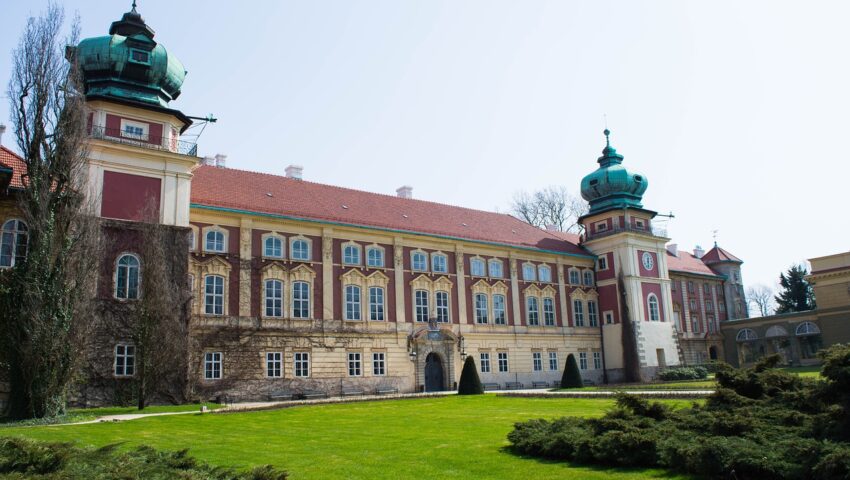Ten niezwykły kwiat śmierdzi gnijącym mięsem. Właśnie zakwitł w ogrodzie polskiego zamku