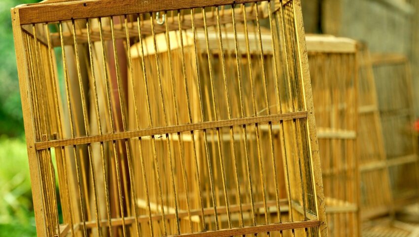 Matka więziła dwuletniego syna w ciasnej i brudnej klatce. Dziecko miało połamane żebra