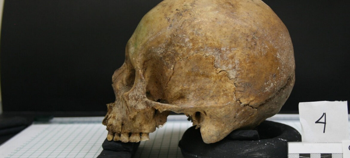 Niezwykłe dokonanie naukowców. Odtworzyli twarz Neandertalki żyjącej 75 tys. lat temu