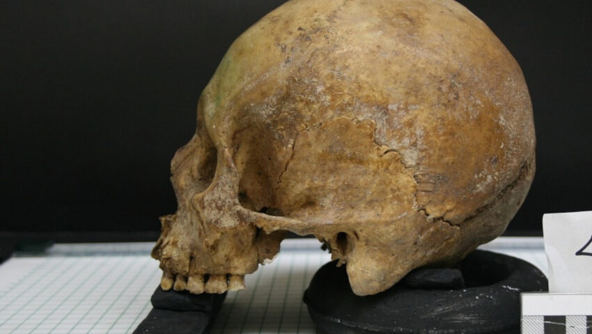 Niezwykłe dokonanie naukowców. Odtworzyli twarz Neandertalki żyjącej 75 tys. lat temu
