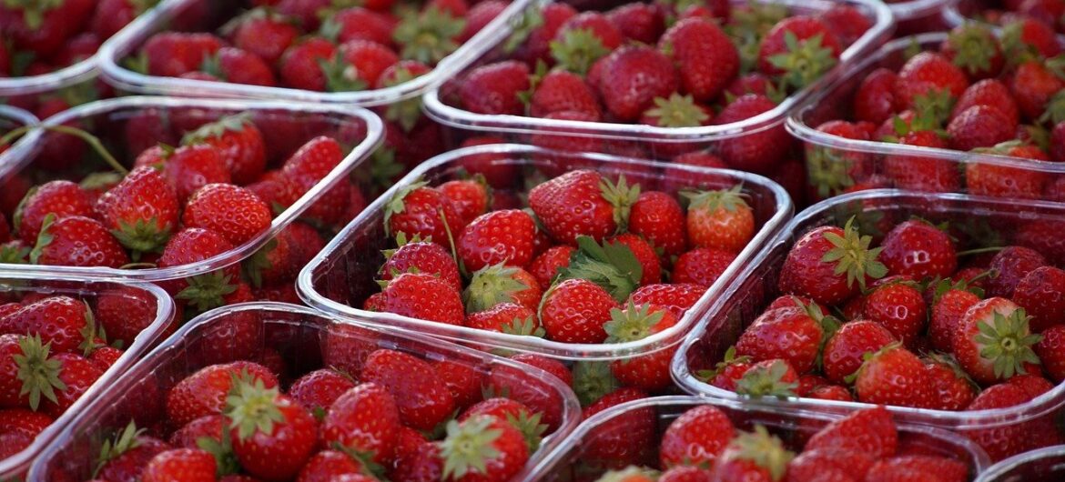 Na tę wiadomość czekaliśmy cały rok. Chodzi o truskawki