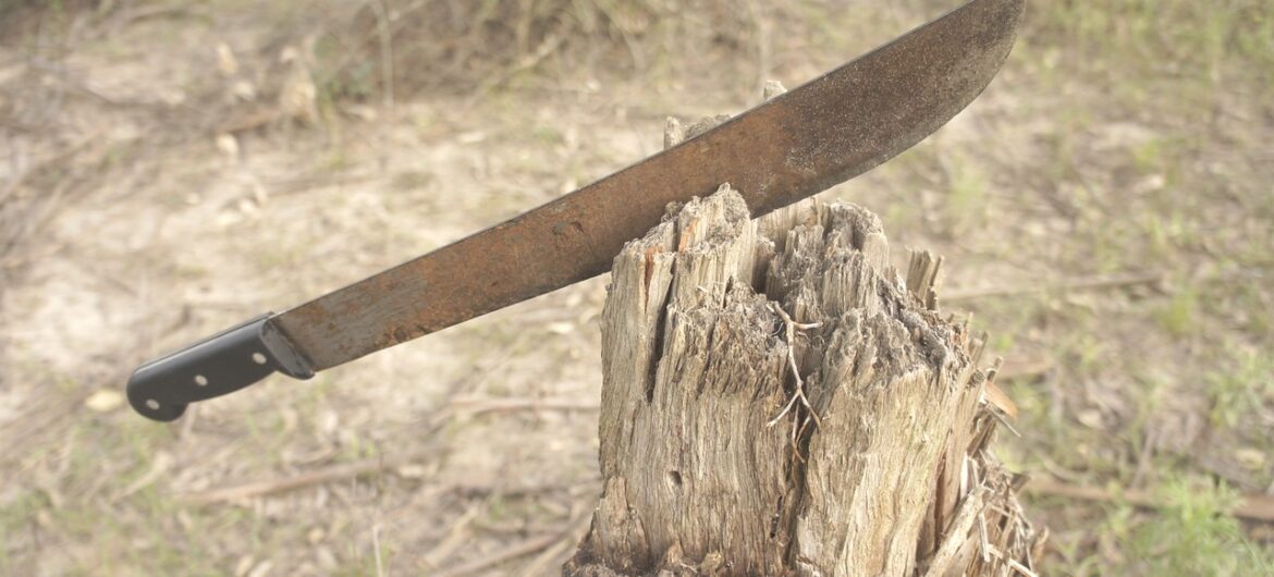 Strażnik graniczny zaatakowany przez dwie osoby z maczetą