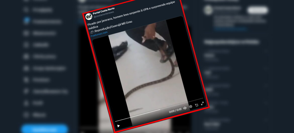 Mężczyzna ukąszony przez jadowitego węża przyszedł do szpitala z gadem w ręku