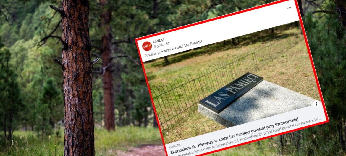 Anonimowe groby w lesie. To pomysł Łodzi na “ekologiczny cmentarz”