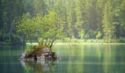 “A my nad wodą”… Polska na czele niechlubnego rankingu