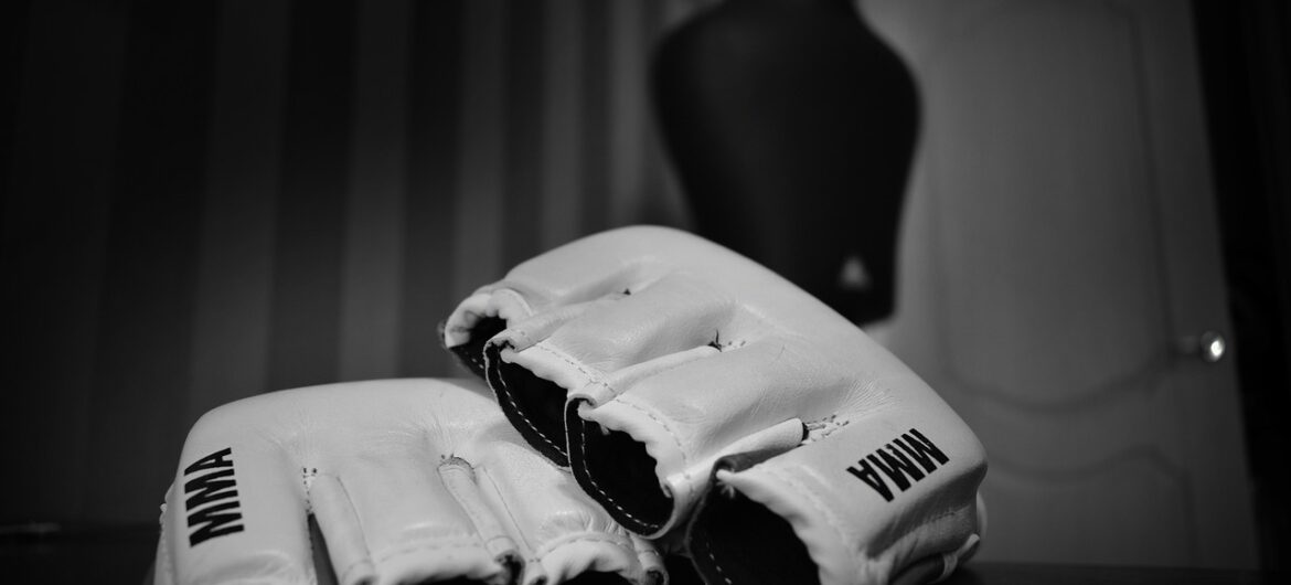 Worek medali Polaków na Mistrzostwach Europy MMA